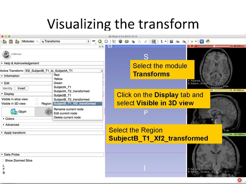 File:RegistrationTutorial 3DSlicer4.5 spujol.pdf