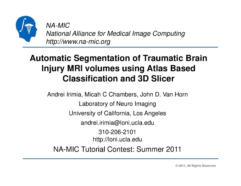 File:TBISegmentation tutorial.pdf