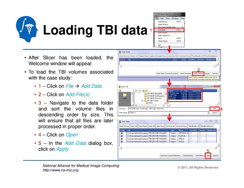 File:TBISegmentation tutorial.pdf