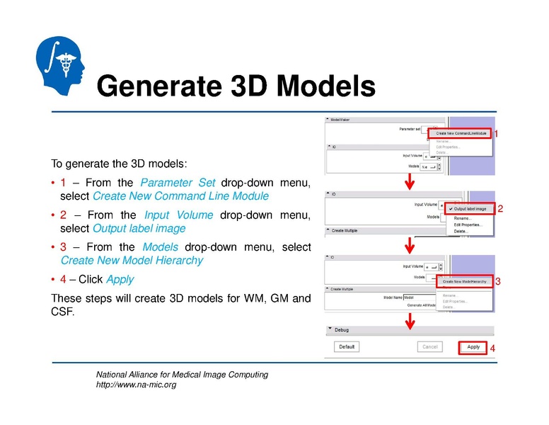File:TBISegmentation tutorial.pdf