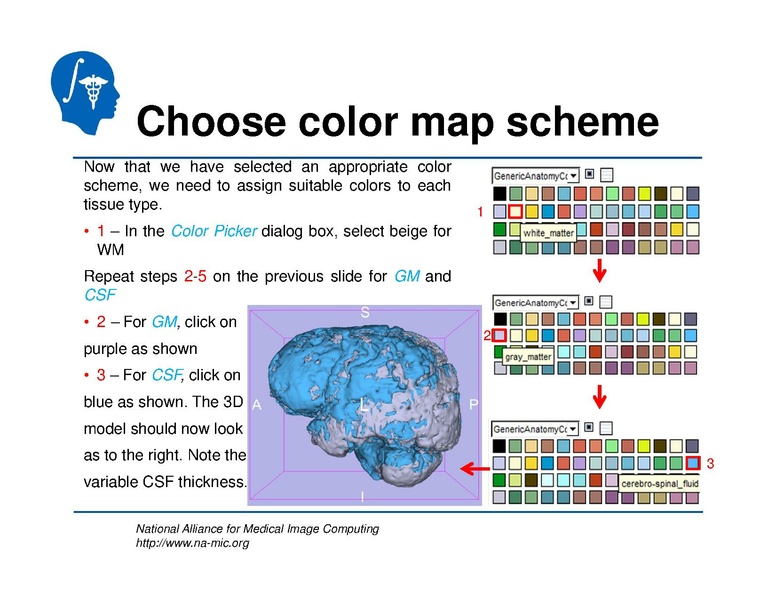 File:TBISegmentation tutorial.pdf