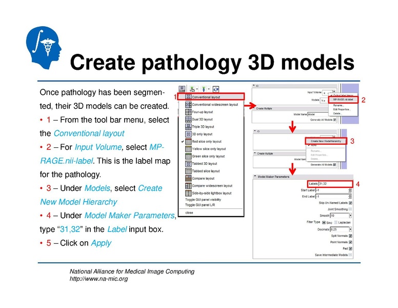 File:TBISegmentation tutorial.pdf