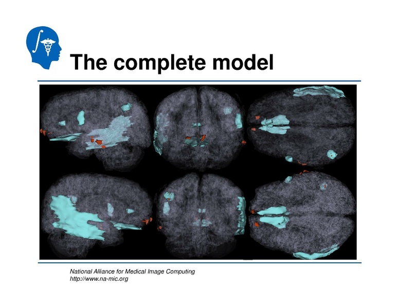 File:TBISegmentation tutorial.pdf