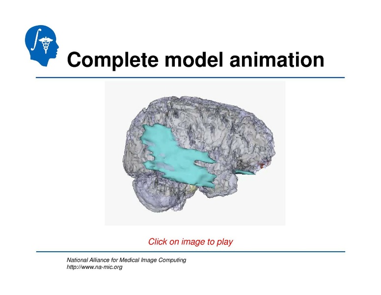 File:TBISegmentation tutorial.pdf