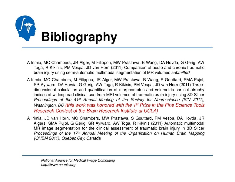 File:TBISegmentation tutorial.pdf