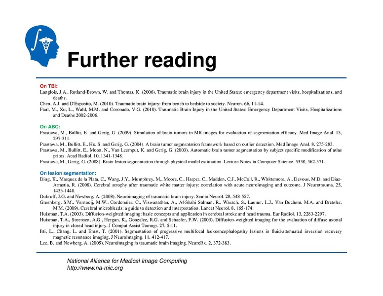 File:TBISegmentation tutorial.pdf