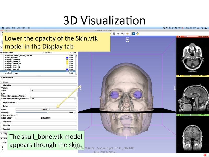 File:Slicer4.5minute SoniaPujol.pdf