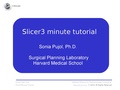 Slicer3.6MinuteTutorial SoniaPujol.pdf
