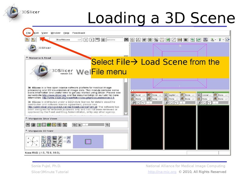 File:Slicer3.6MinuteTutorial SoniaPujol.pdf