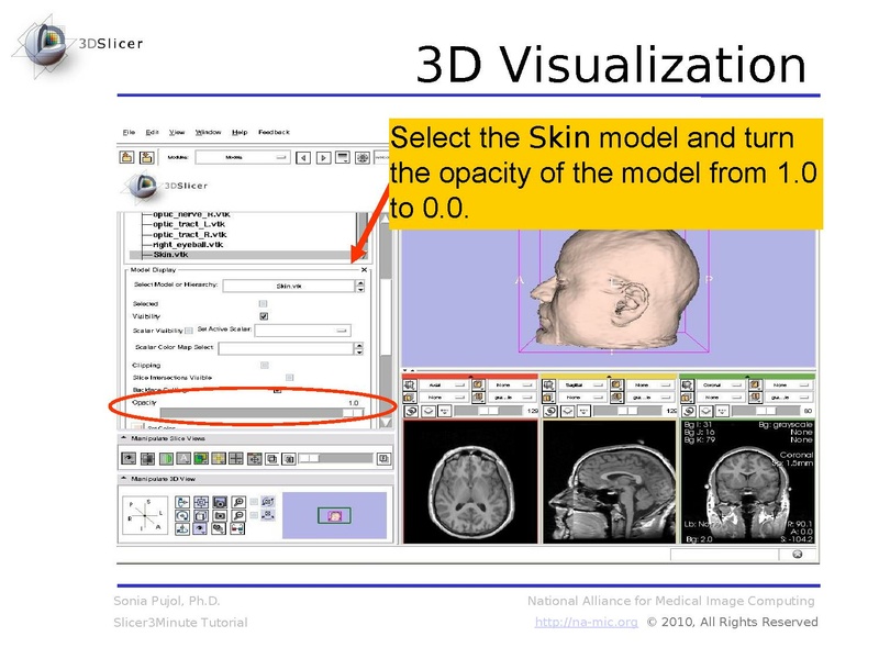 File:Slicer3.6MinuteTutorial SoniaPujol.pdf