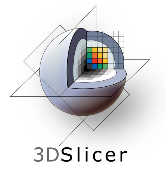 File:3DSlicerLogo-V-Color-1195x1231.png