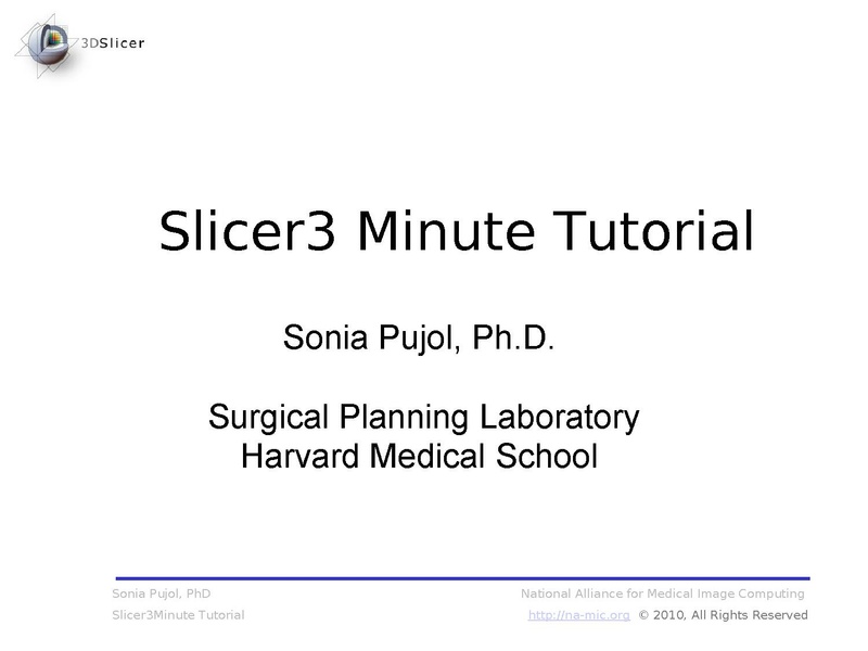 File:Slicer3Minute SoniaPujol 3.6.1.pdf