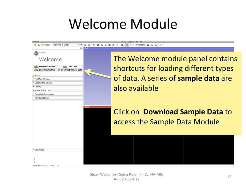 File:SlicerWelcome-tutorial SoniaPujol.pdf