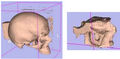 Thumbnail for version as of 16:32, 30 January 2012