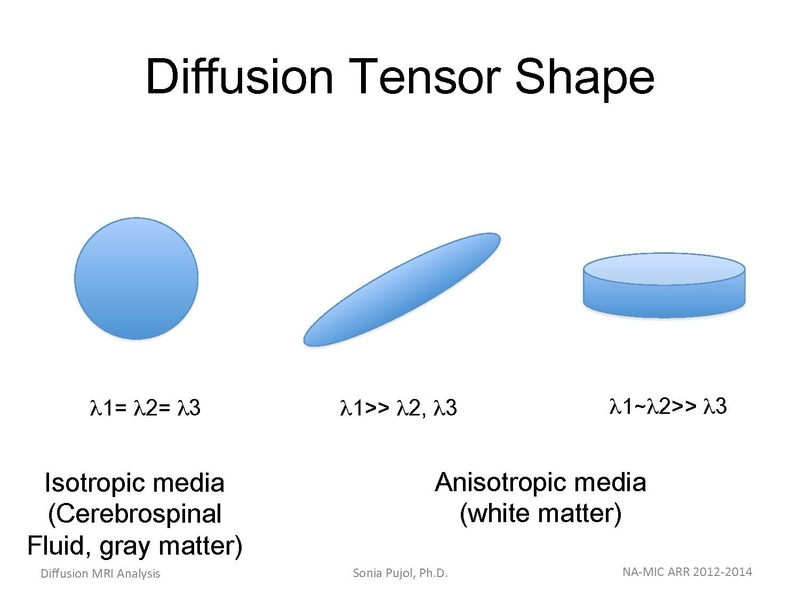 File:DiffusionMRIanalysis Tutorial Slicer4.5 SoniaPujol.pdf