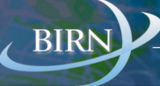 Logo-BIRN.jpg