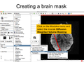 2015 DTITutorial Addition of Brain Masking.png