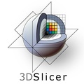 3DSlicerLogo-VerticalF.pdf