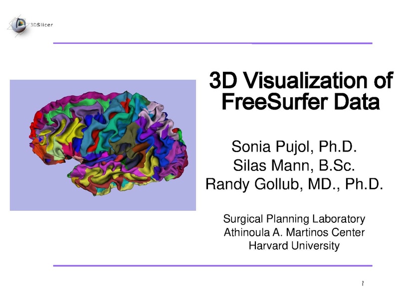File:FreeSurferCourse Slicer3.6 SoniaPujol.pdf