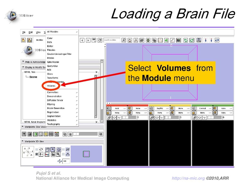 File:FreeSurferCourse Slicer3.6 SoniaPujol.pdf
