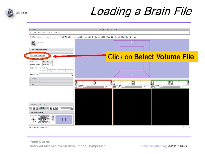 File:FreeSurferCourse Slicer3.6 SoniaPujol.pdf