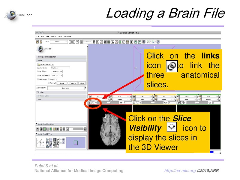File:FreeSurferCourse Slicer3.6 SoniaPujol.pdf