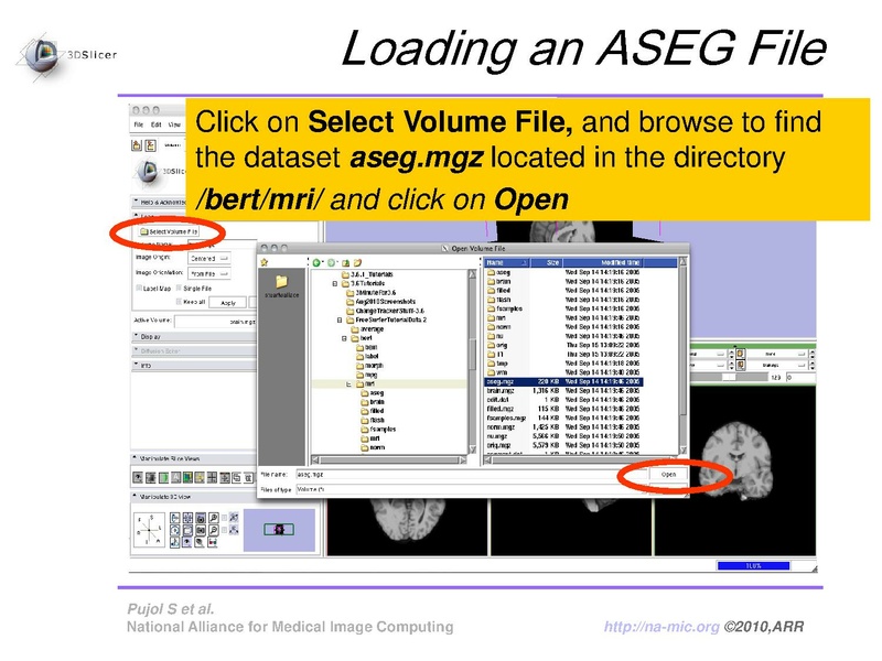 File:FreeSurferCourse Slicer3.6 SoniaPujol.pdf
