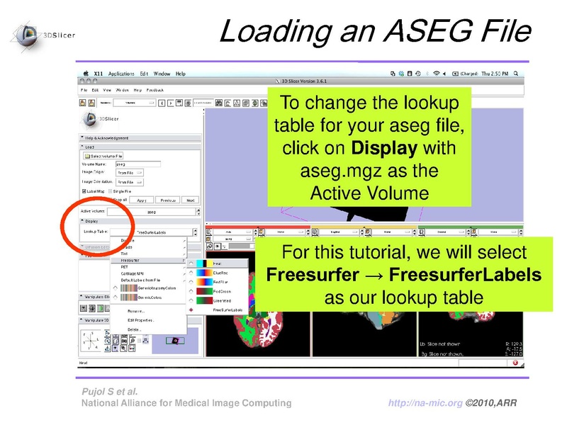 File:FreeSurferCourse Slicer3.6 SoniaPujol.pdf