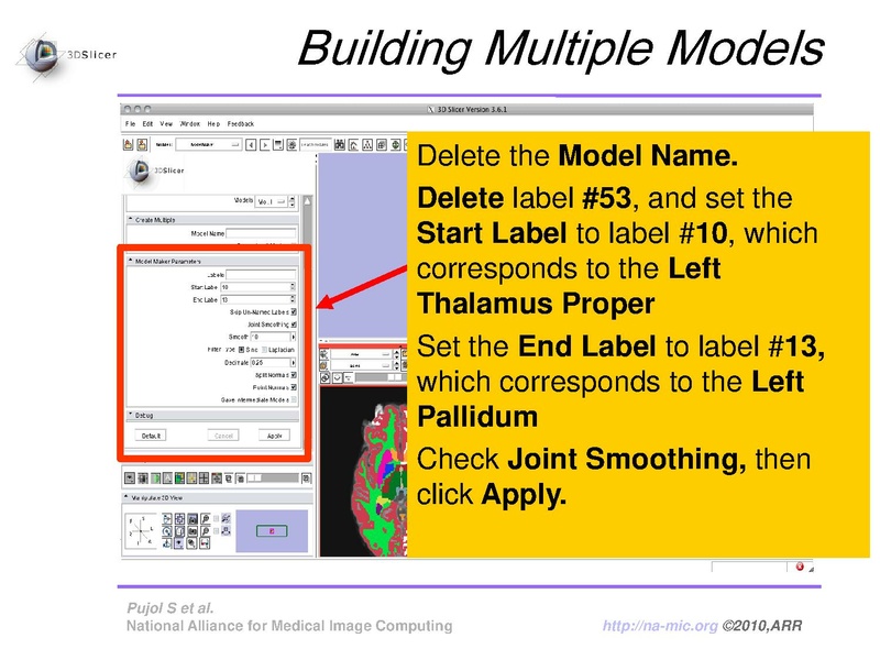 File:FreeSurferCourse Slicer3.6 SoniaPujol.pdf
