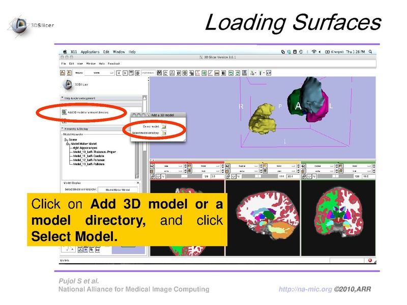 File:FreeSurferCourse Slicer3.6 SoniaPujol.pdf