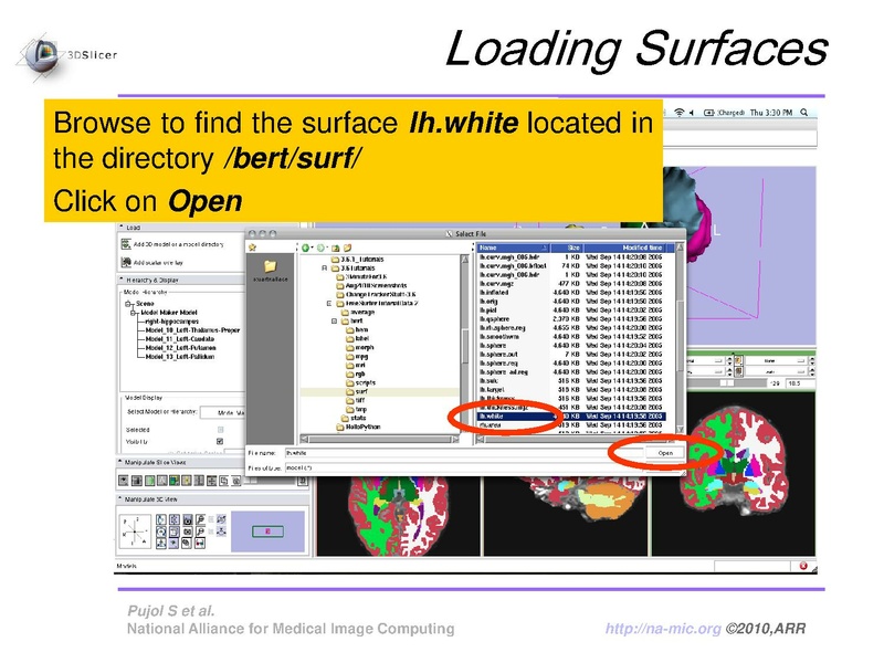 File:FreeSurferCourse Slicer3.6 SoniaPujol.pdf