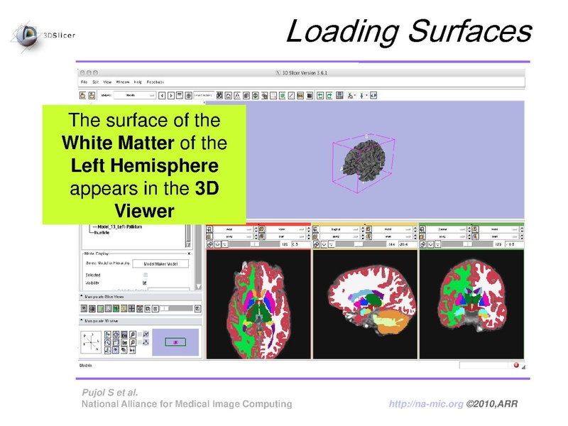 File:FreeSurferCourse Slicer3.6 SoniaPujol.pdf