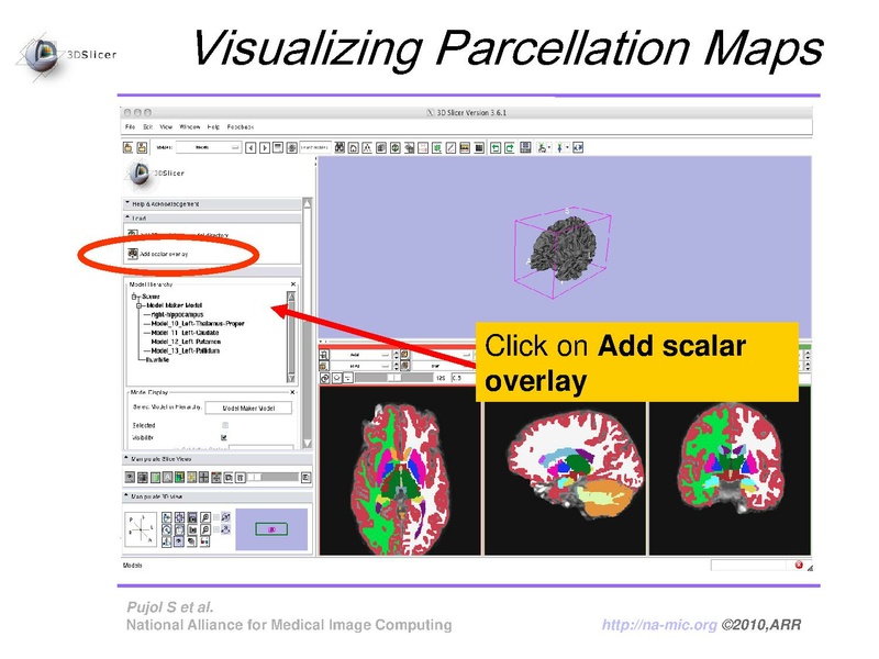 File:FreeSurferCourse Slicer3.6 SoniaPujol.pdf