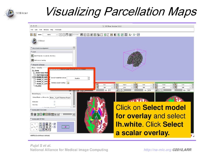 File:FreeSurferCourse Slicer3.6 SoniaPujol.pdf