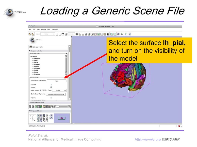 File:FreeSurferCourse Slicer3.6 SoniaPujol.pdf