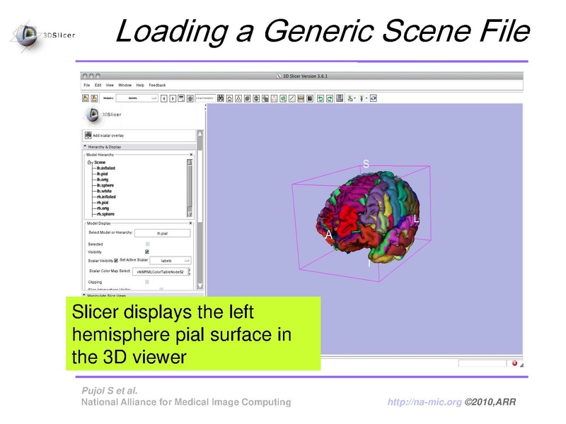 File:FreeSurferCourse Slicer3.6 SoniaPujol.pdf