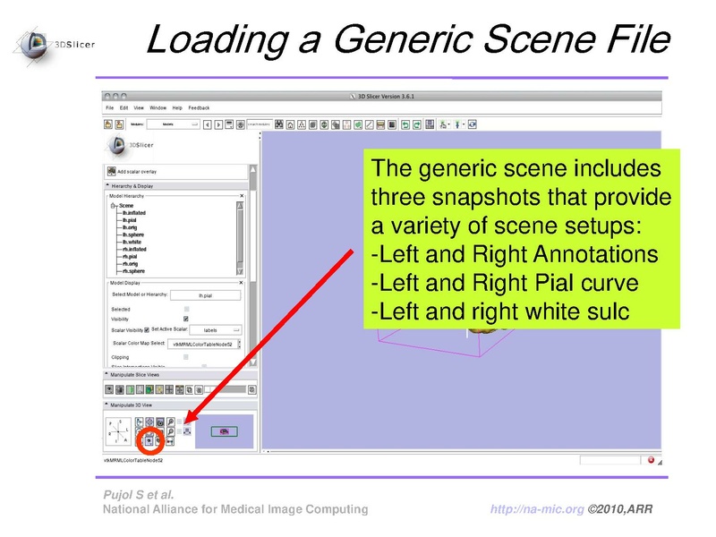 File:FreeSurferCourse Slicer3.6 SoniaPujol.pdf