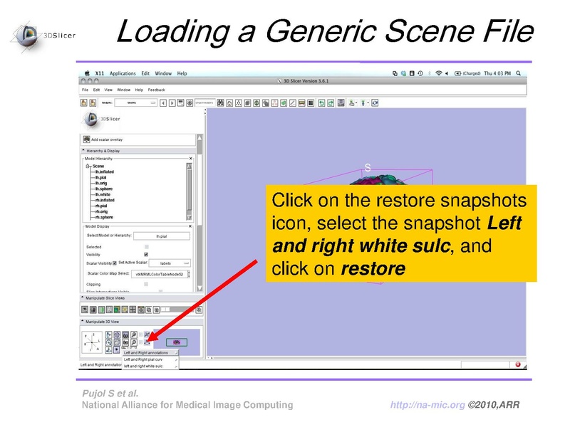File:FreeSurferCourse Slicer3.6 SoniaPujol.pdf