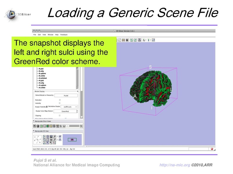 File:FreeSurferCourse Slicer3.6 SoniaPujol.pdf
