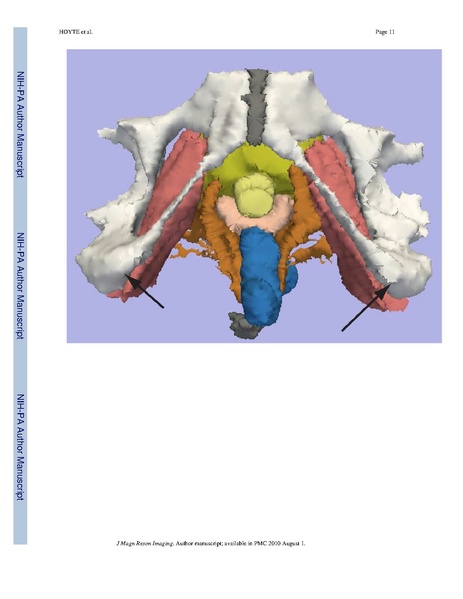 File:Hoyte-JMRI2009.pdf