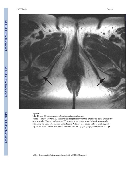 File:Hoyte-JMRI2009.pdf