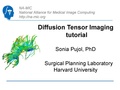 DiffusionMRITutorial Slicer3.6.1 SoniaPujol Aug2010.pdf