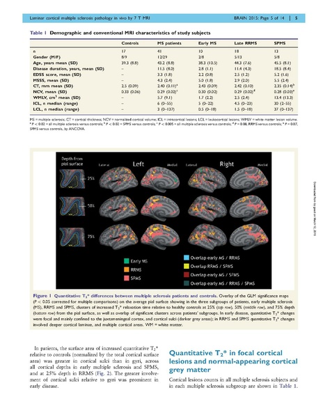 File:Mainero-Brain2015.pdf