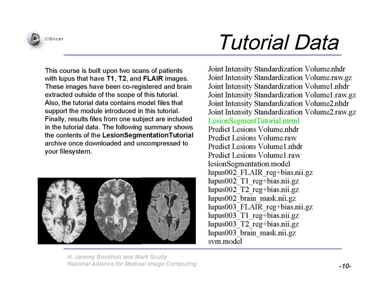 File:Slicer3Training WhiteMatterLesions v2.3.pdf