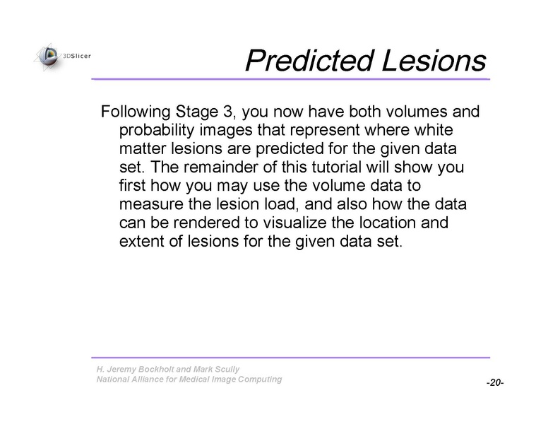 File:Slicer3Training WhiteMatterLesions v2.3.pdf