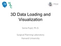 3DDataLoadingandVisualization Slicer43 SoniaPujol.pdf