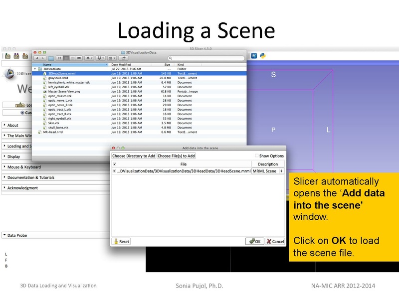 File:3DDataLoadingandVisualization Slicer43 SoniaPujol.pdf