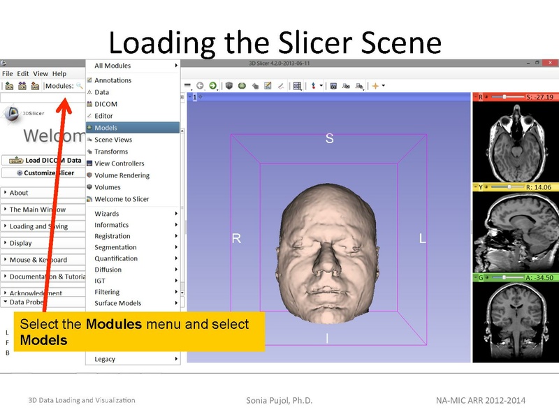 File:3DDataLoadingandVisualization Slicer43 SoniaPujol.pdf